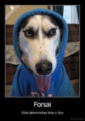 Forsai - Koks šeimininkas toks ir šuo