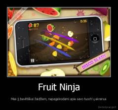 Fruit Ninja - Mes jį beviltiškai žaidžiam, nepagalvodami apie savo tuoch'ų ekranus