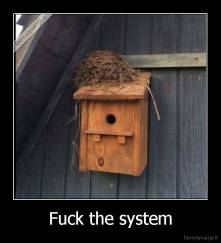 Fuck the system - 