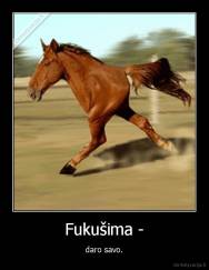 Fukušima - - daro savo.