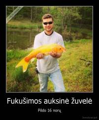 Fukušimos auksinė žuvelė - Pildo 16 norų