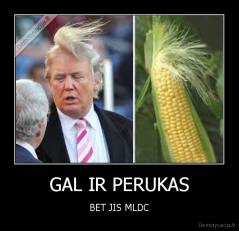 GAL IR PERUKAS - BET JIS MLDC