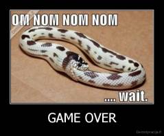 GAME OVER - 