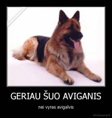 GERIAU ŠUO AVIGANIS - nei vyras avigalvis