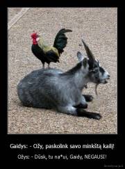 Gaidys: - Ožy, paskolink savo minkštą kailį! - Ožys: - Dūsk, tu na*ui, Gaidy, NEGAUSI!