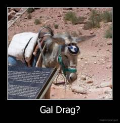 Gal Drag? - 
