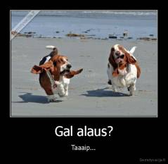 Gal alaus? - Taaaip...