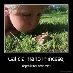 Gal cia mano Princese, - nepatikrinsi nezinosi!!!