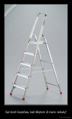 Gal duoti kopėčias, kad išliptum iš mano reikalų? - 