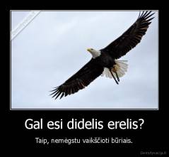 Gal esi didelis erelis? - Taip, nemėgstu vaikščioti būriais.