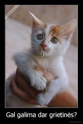 Gal galima dar grietinės? - 