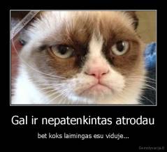 Gal ir nepatenkintas atrodau - bet koks laimingas esu viduje...