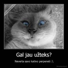 Gal jau užteks? - Neverta savo katino perpeneti :\