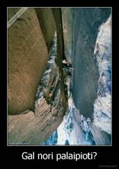 Gal nori palaipioti? - 