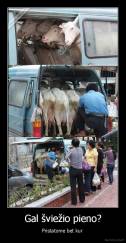 Gal šviežio pieno? - Pristatome bet kur 