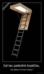 Gal tau paskolinti kopėčias,  - kad išliptum iš mano reikalų ?
