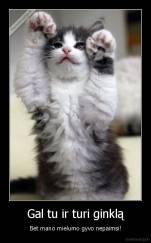 Gal tu ir turi ginklą - Bet mano mielumo gyvo nepaimsi!