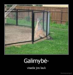 Galimybė- - visada jos lauk