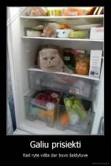 Galiu prisiekti - Kad ryte višta dar buvo šaldytuve