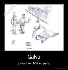 Galva - ji visada turi būti ant pečių