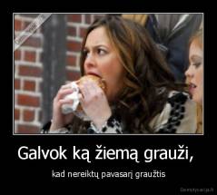 Galvok ką žiemą grauži,  - kad nereiktų pavasarį graužtis