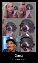 Gamta - o ji megsta pokstus 