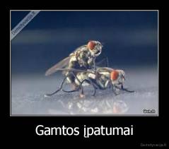 Gamtos įpatumai - 