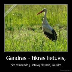 Gandras - tikras lietuvis, - nes atskrenda į Lietuvą tik tada, kai šilta