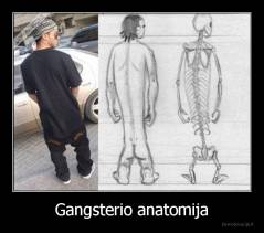Gangsterio anatomija - 