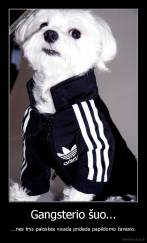 Gangsterio šuo... - ...nes trys paloskės visada prideda papildomo žavesio.
