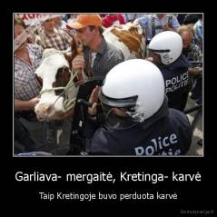 Garliava- mergaitė, Kretinga- karvė - Taip Kretingoje buvo perduota karvė