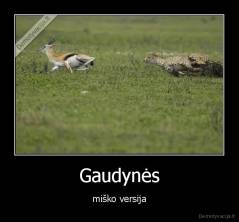 Gaudynės - miško versija
