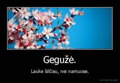 Gegužė. - Lauke šilčiau, nei namuose.