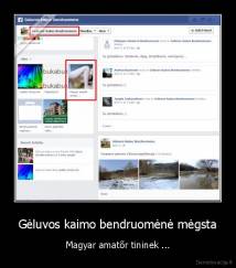 Gėluvos kaimo bendruomėnė mėgsta - Magyar amatőr tininek ...