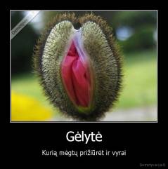 Gėlytė - Kurią mėgtų prižiūrėt ir vyrai