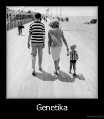 Genetika - 