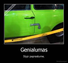 Genialumas - Slypi paprastume.