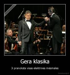 Gera klasika - Ji pranoksta visas elektrines mėsmales