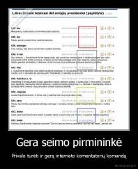 Gera seimo pirmininkė - Privalo turėti ir gerą interneto komentatorių komandą