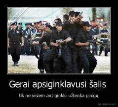 Gerai apsiginklavusi šalis  - tik ne visiem ant ginklu užtenka pinigų