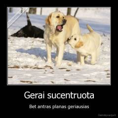 Gerai sucentruota - Bet antras planas geriausias