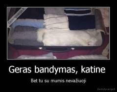 Geras bandymas, katine  - Bet tu su mumis nevažiuoji
