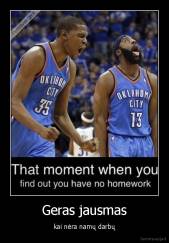 Geras jausmas - kai nėra namų darbų