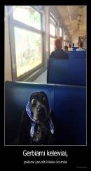 Gerbiami keleiviai, - prašome paruošti bilietus kontrolei