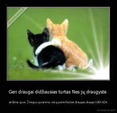 Geri draugai didžiausias turtas Nes jų draugystė  - amžinai gyva. Žmogus gyvenime viską pamiršta bet draugas draugo NIEKADA