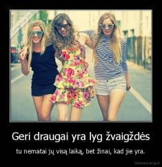 Geri draugai yra lyg žvaigždės - tu nematai jų visą laiką, bet žinai, kad jie yra.