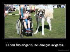 Geriau šuo aviganis, nei draugas avigalvis. - 