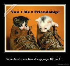 Geriau tureti viena tikra drauga,negu 100 netikru. - 