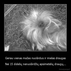 Geriau vienas mažas nuoširdus ir mielas draugas - Nei 15 didelių nenuoširdžių apsimetėlių draugų...