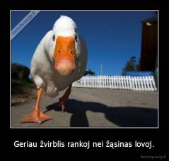 Geriau žvirblis rankoj nei žąsinas lovoj. - 